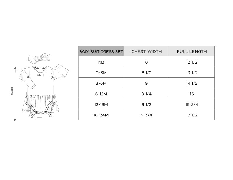 Baby Girl Long Sleeve Bodysuit Dress Set