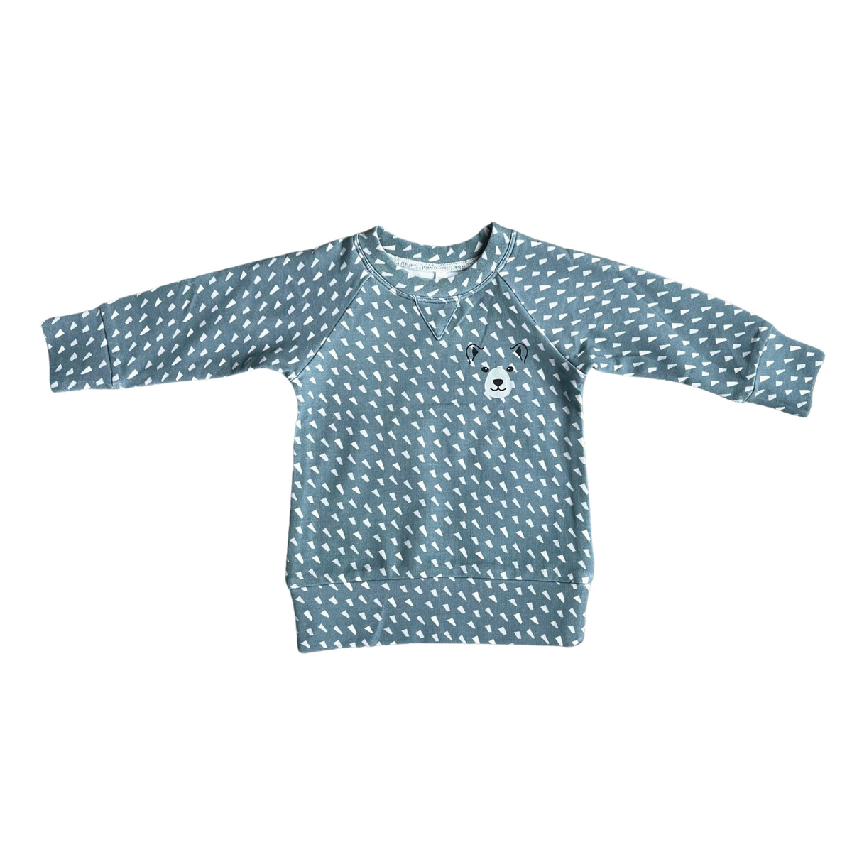 Raglan Sweatshirt